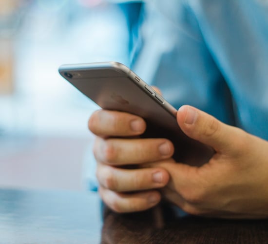 SimplyCow: Finnish firm unveils new herd management app