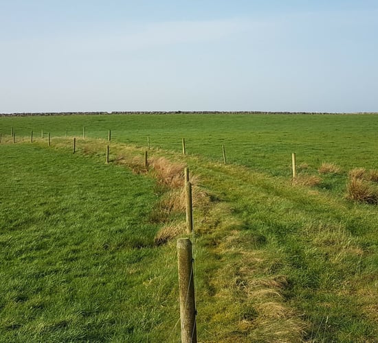 67ac farm includes a converted milking parlour 'suitable for commercial letting'