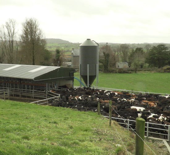 IFA: 'Farm income figures a wake up call for Government'