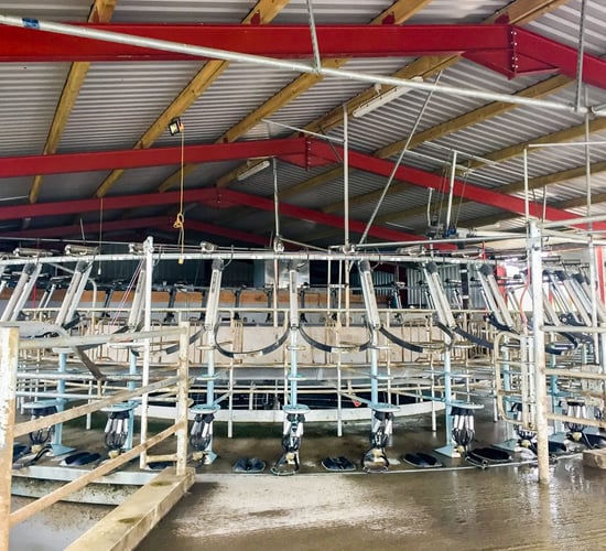 Dairy throwback: Operation (farm) transformation in Co. Laois