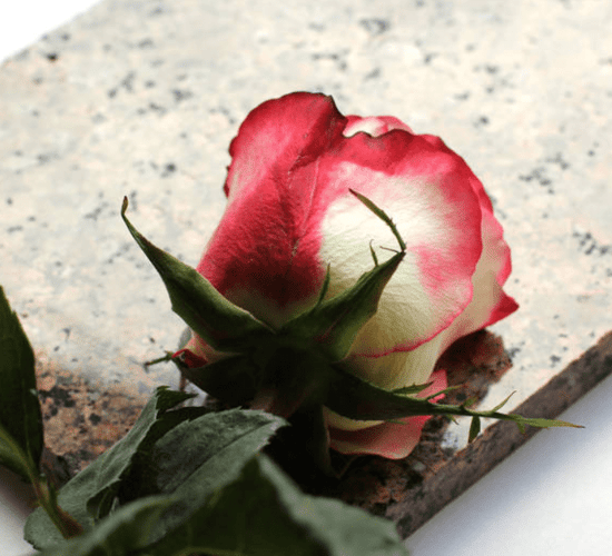 Cooney Furlong 'deeply saddened' following death of worker