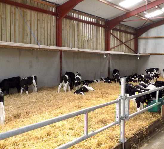 Providing the perfect environment for calves in Co. Kilkenny