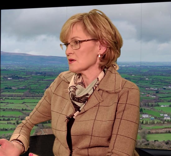 Chlorothalonil: Could Ireland make a case to Europe?