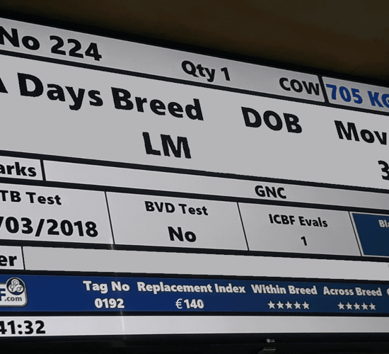 Should 4 movement rule details appear on mart boards?