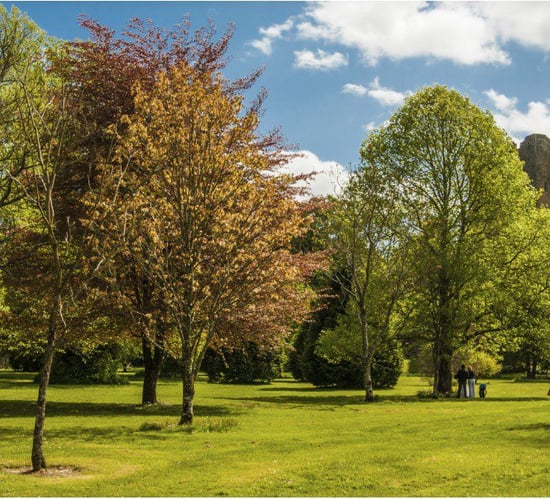 'Plant for our Planet': Public urged to back National Tree Week 2019