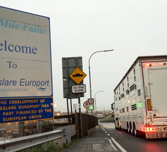 Food and live animals exports topped €12bn in 2021 - CSO