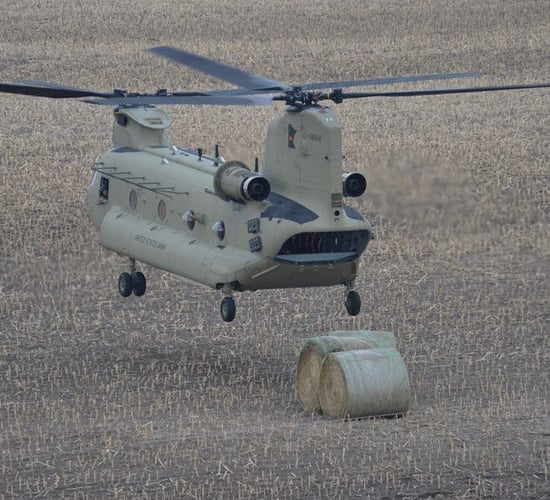 Video: Bales of hay airdropped to flood-stricken cattle by National Guard