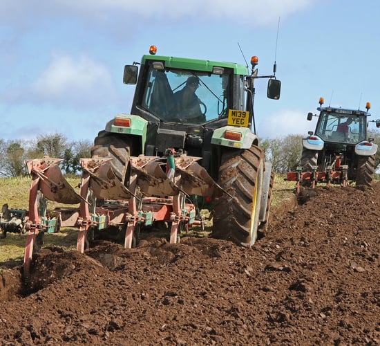 Tillage Incentive Scheme: An expensive decision to plough up grassland?