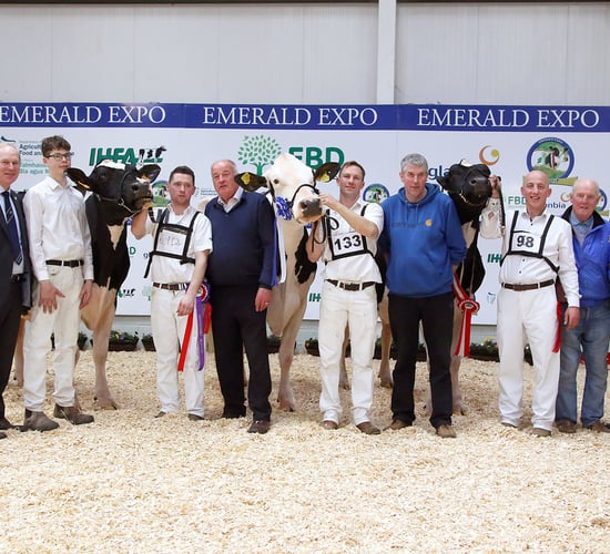 Emerald Expo returns after two-year absence
