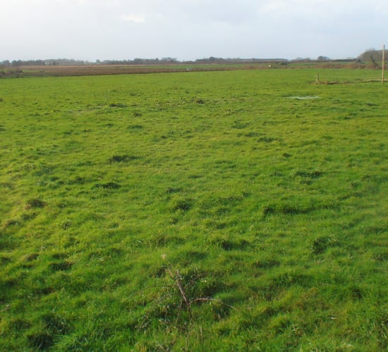 Co. Kerry holdings to go for public auction in April