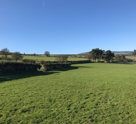 81ac Aughrim farm comes with outbuildings and hill rights
