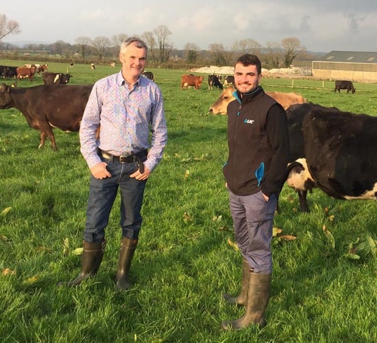 Tips: What are your breeding goals for the next 12 months?