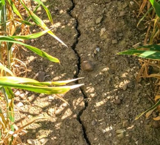 83mm of rain needed in places to reach field capacity
