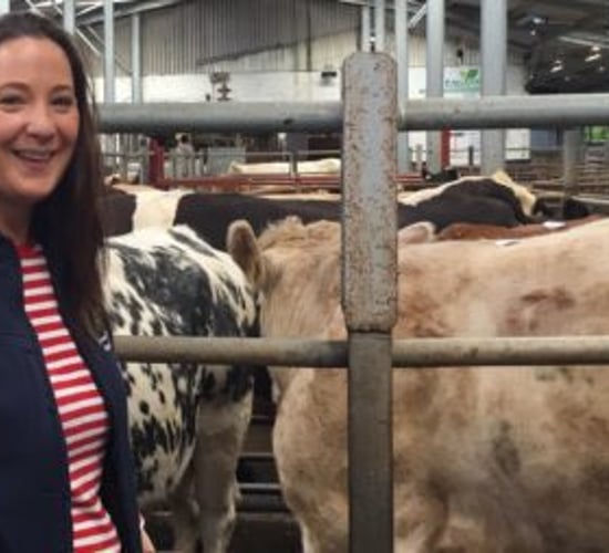 Mart insurance advocate to seek seat on Donegal County Council