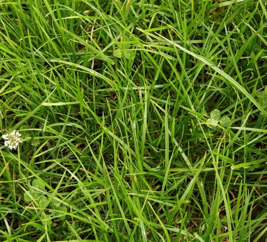 Germinal Ireland announces management restructuring