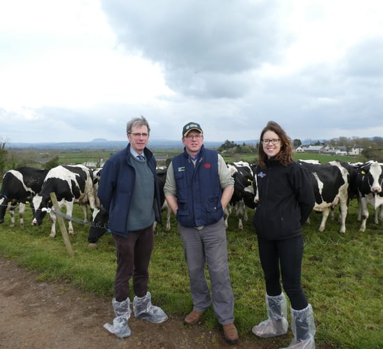 GrassCheck farm walk: Maximising milk from grazed grass with high-yielding cows