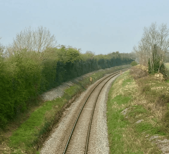 Evident anger as Irish Rail 'mulch hedge to the ground'