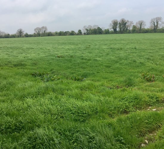 How expensive was EU agricultural land in 2023?
