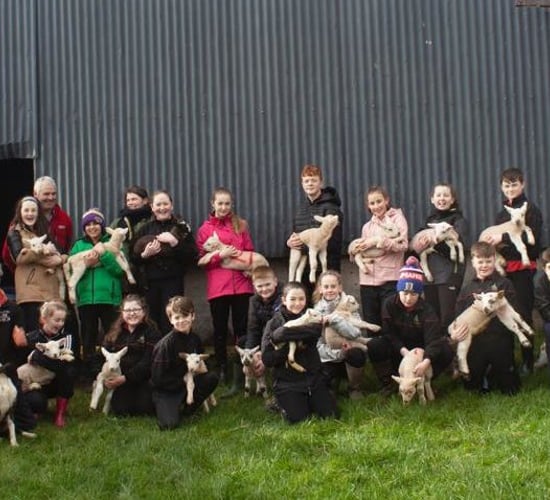 Sculptor collaborates with sheep farmer for school residency
