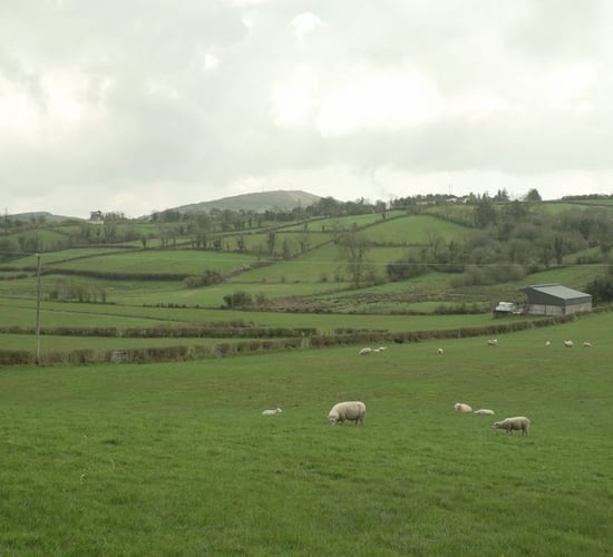 Committee on Climate Action launches its 'cross-party consensus for action'