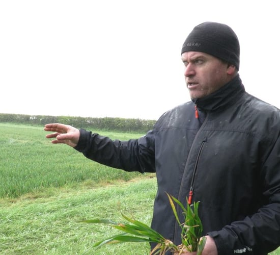 CROPS WATCH: Rust under control; time for T1 on wheat