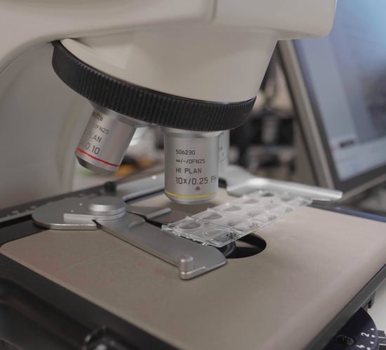 Department of Environment to rule on gene-edited crops