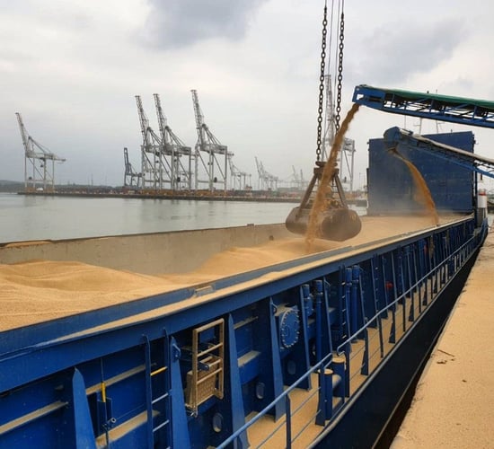 Global agricultural demand projected to grow 15% over next decade