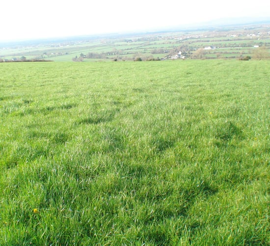 32.16ac residential holding with traditional farmyard to go for public auction
