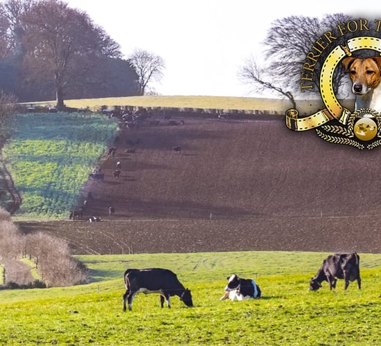 Jack Russell: What about 100% convergence in politicians' payments?