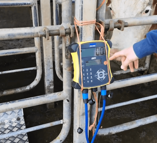 Creed: Grants of up to €8,000 available for farmers in BEEP-S