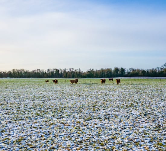 Making preparations as winter conditions set in on farms