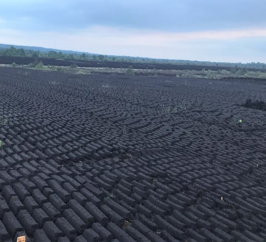 TD seeks clarity on Bord na Móna plans for historic peat extraction
