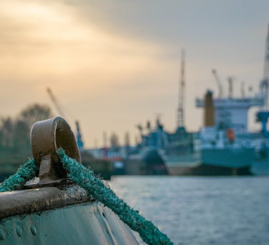Search underway for 42 crew after cattle ship capsizes in East China Sea