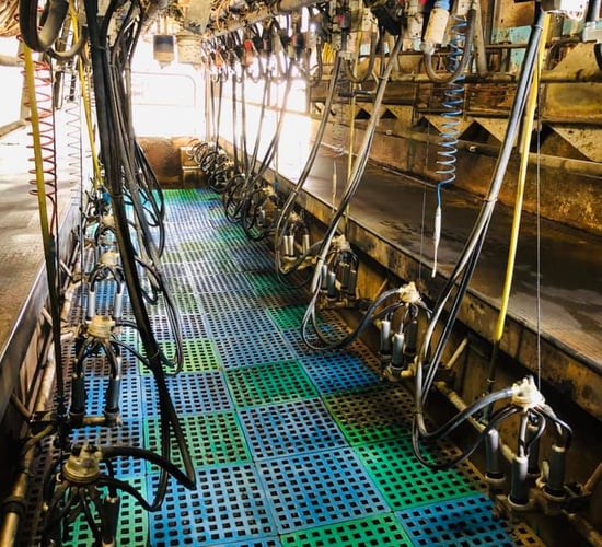Pics: Parlour equipment on sale at farm retirement auction