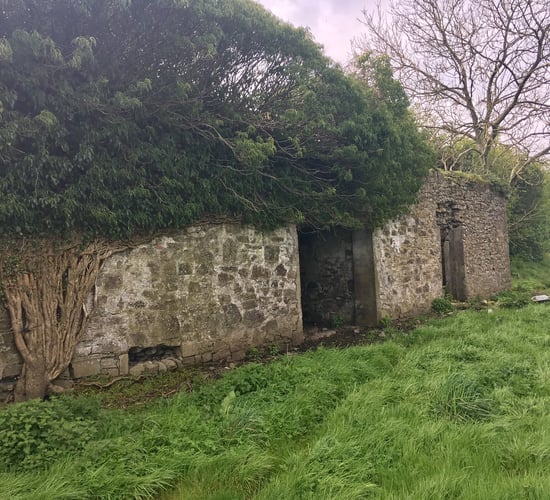 Derelict and vacant farmhouses 'could help meet housing demand'