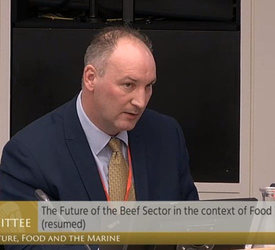 Donnelly to be 'included for nomination' in Beef Plan election tomorrow