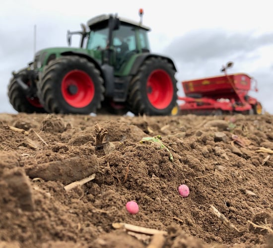 Arable April is back...what's happening in the fields?