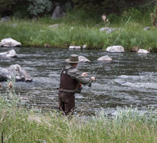Penalty points for fishing infringements - is Ireland in compliance?