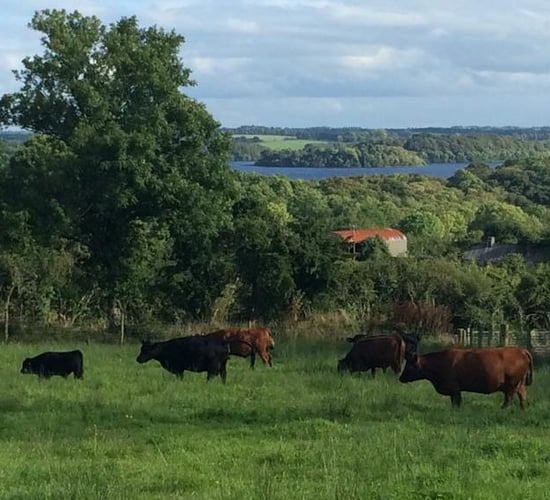 Roscommon couple build on organic farm brand