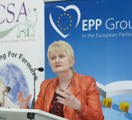 Agriculture minister gives assurances to farmers affected by Leitrim landslide