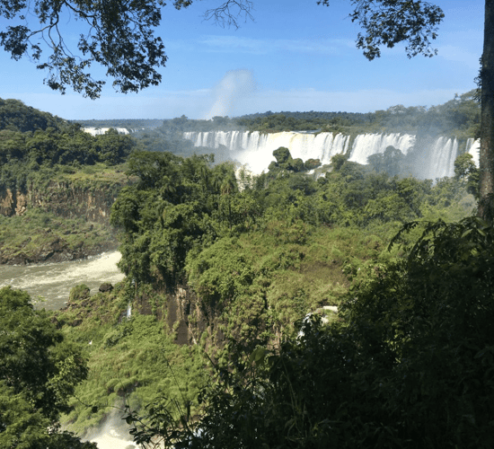 EU to have 'more leverage' on Mercosur environmental policy
