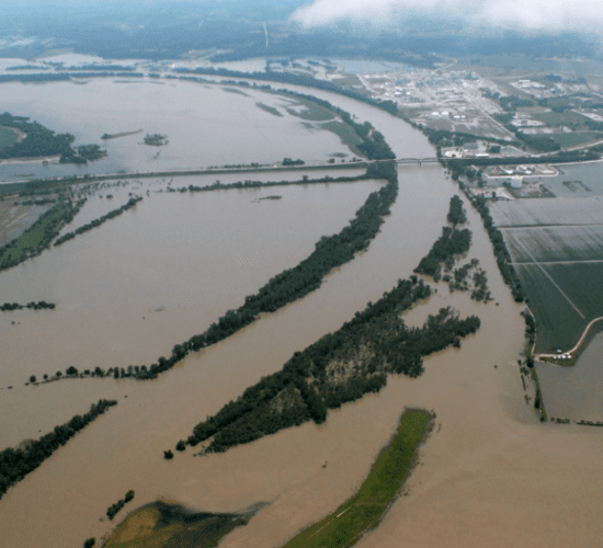 'As many as one million' calves lost in Nebraska flooding