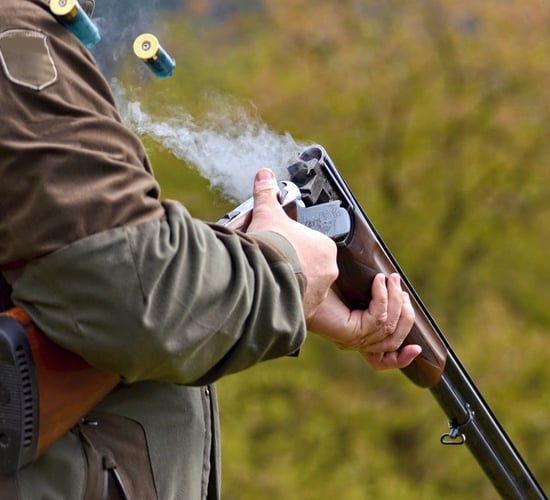 Changes to NI General Licences under review