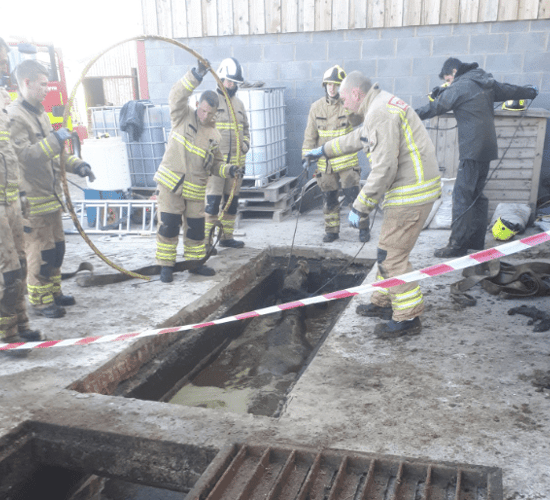 Dairy cows rescued from slurry pit in Wales