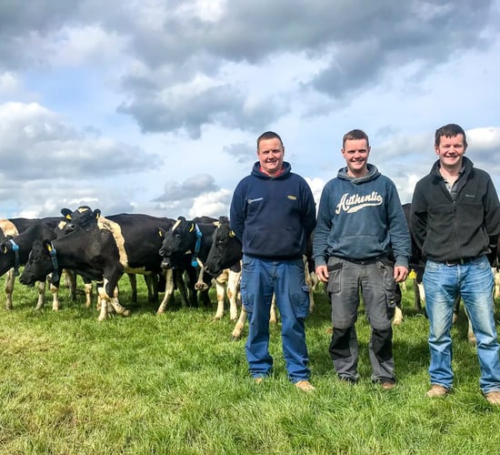 Band of brothers: Why this beef farmer influenced his dairy siblings on sire selection