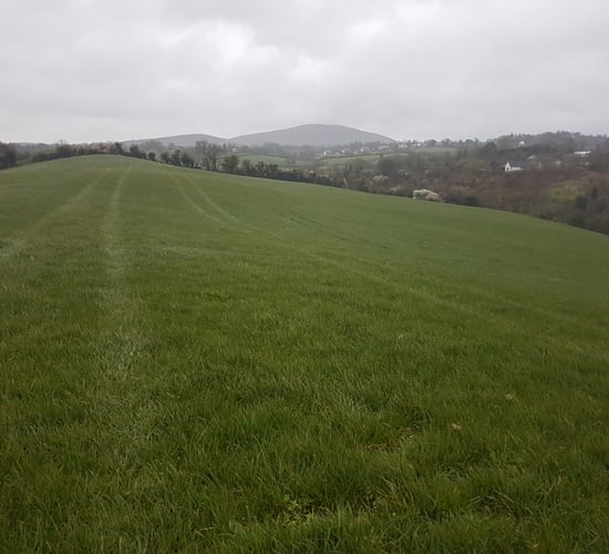 Weekend weather: Turning milder with drizzle in some areas