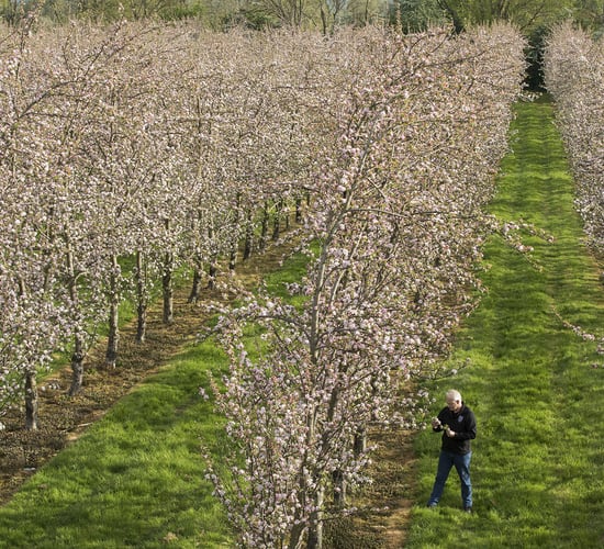 From farming in Saudi Arabia to cider making in South Tipp
