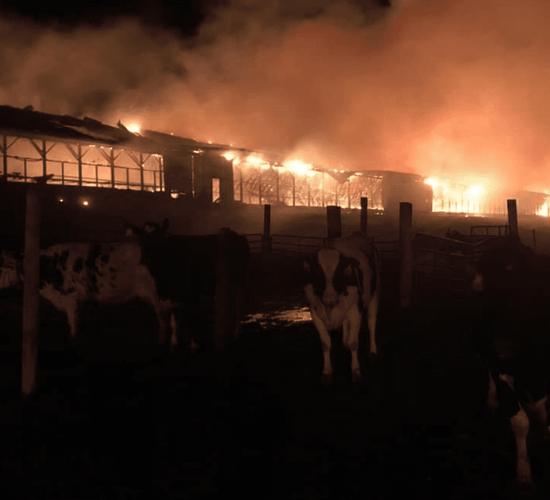 13-year-old girl charged with barn fire in Scottish Highlands