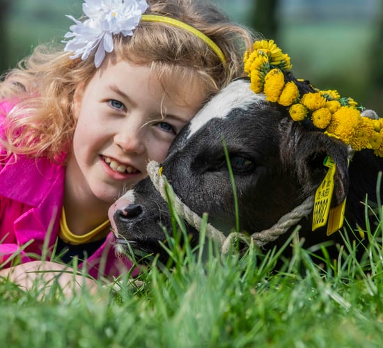 'Ambitious schedule to date' for Cork Summer Show 2019