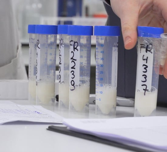 Dairy focus: Video reveals the ins and outs of fresh semen